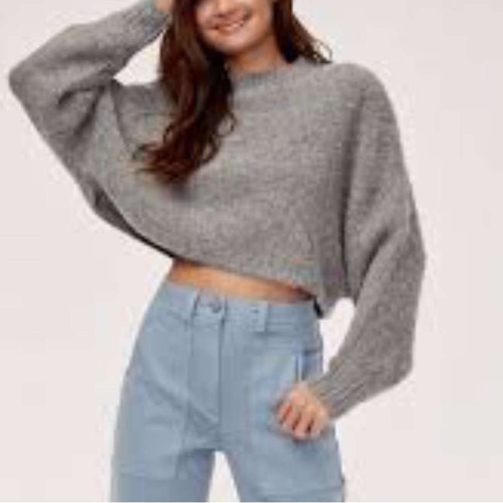 NWOT Aritzia Wool Alpaca Crew Neckline Crop Sweater Size M
